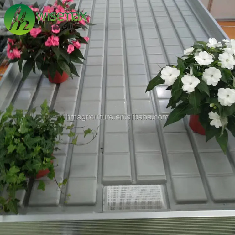 Greenhouse garden ebb and flow ebb flow rolling benches with food garde ABS