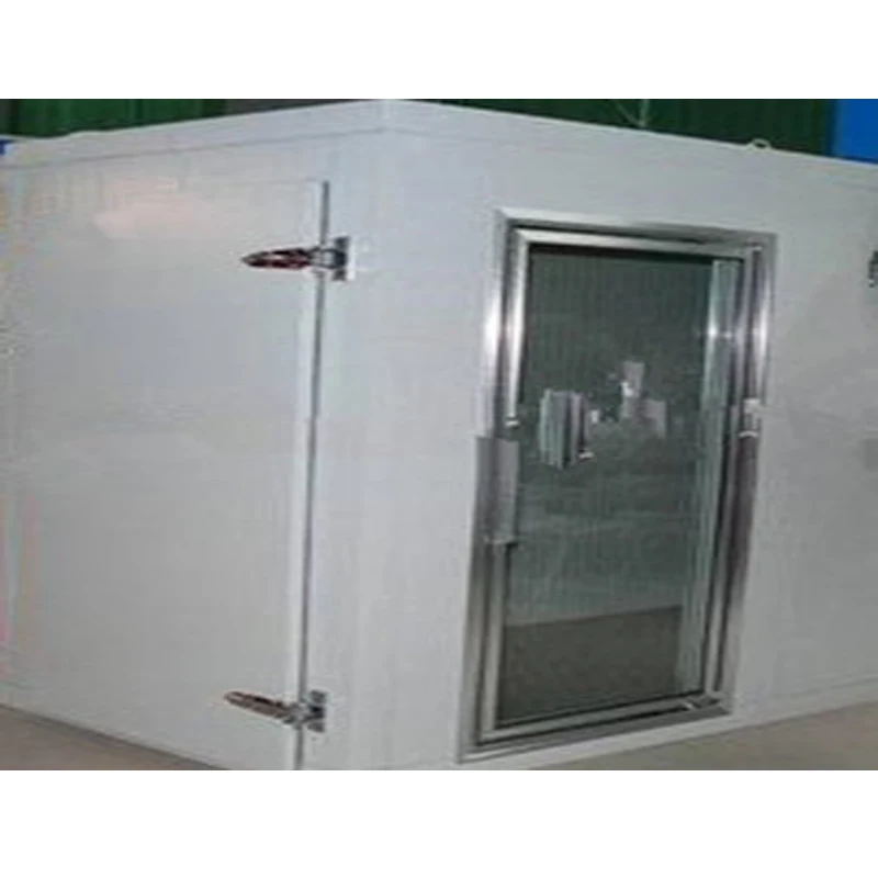 Famous Brand Insulated Panels For Cold Storage Prefabricated Small Cold Room Chicken Blast Freezer For Sale