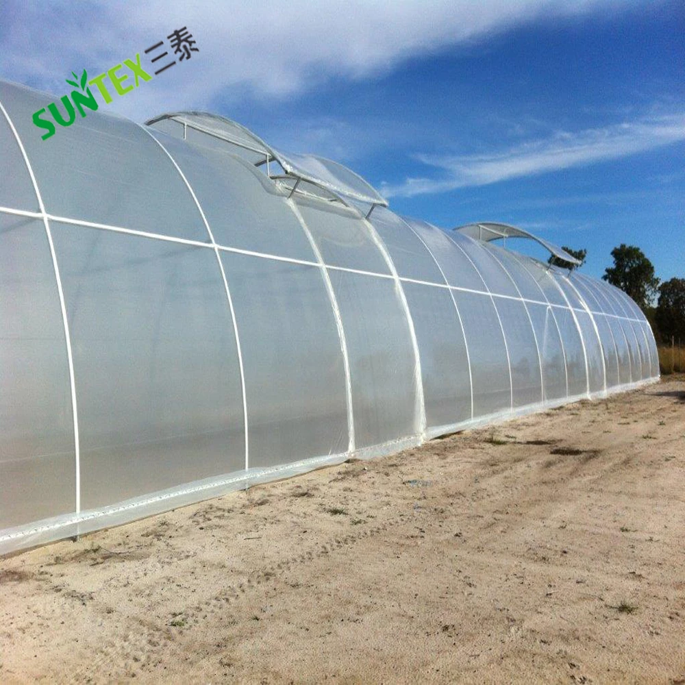 UV Protection Clear Woven Greenhouse Film Orchards Plants Protective Rains Proof Poly Tarpaulin 12*50M