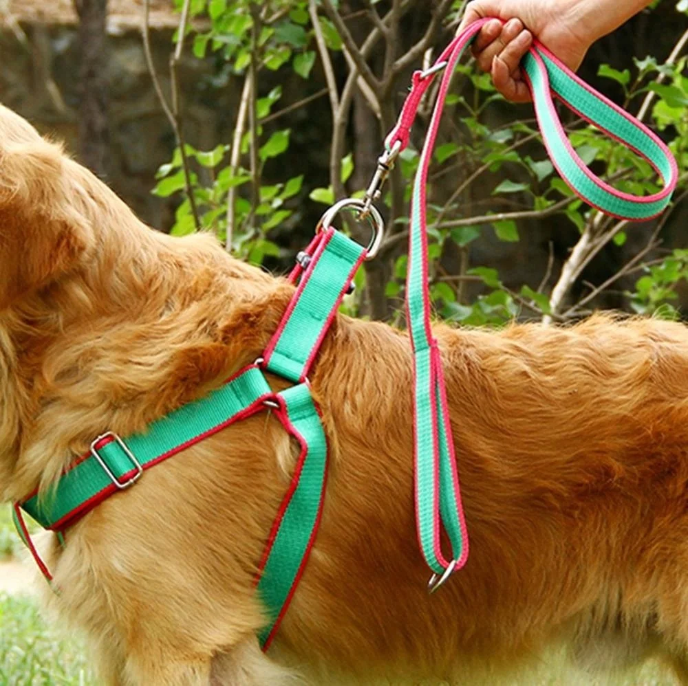 3 PCS Pet Collar Harness & Leashes Nylon Dog Leads Large Dog High Quality Dog Leashes