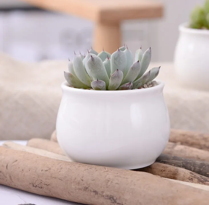 Modern Indoor Decor Small White Ceramic Flower Pot for Home, Garden Used with Flower/green Plant Round Glazed Not Support 144pcs
