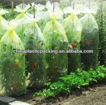 PE Agricultural Tomato tube Green house with holes to protective
