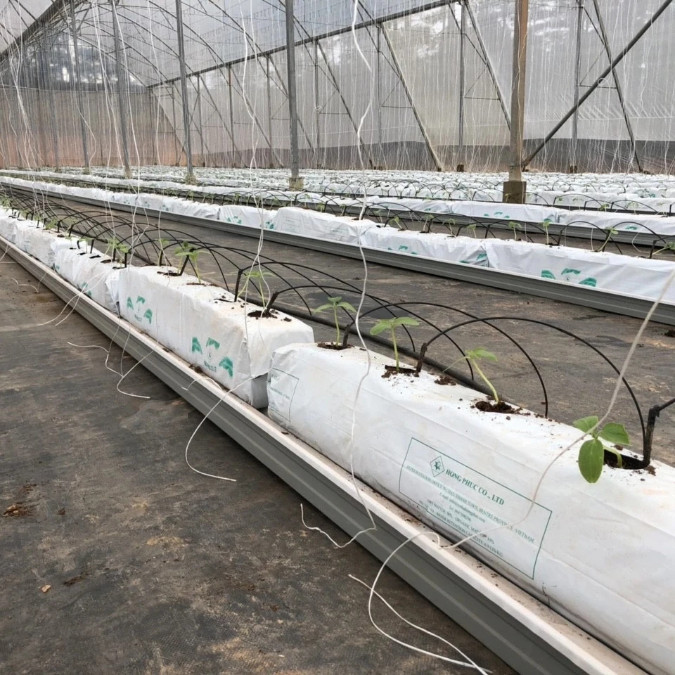 
Coco peat moss strawberry/tomato grow bag for agriculture 