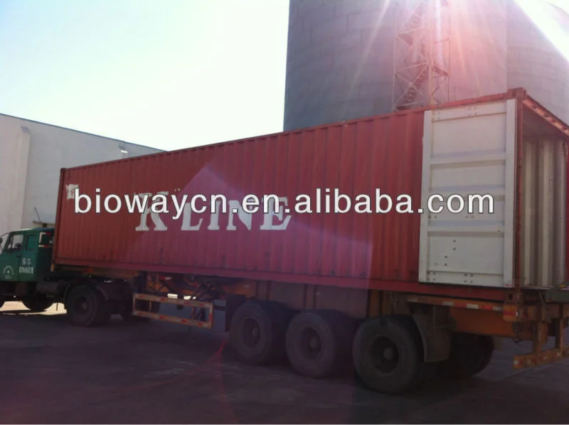 Non-GMO Bulk Wholesale Powder Isolate Pea Protein