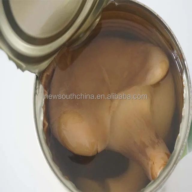 Best Canned Abalone mushroom in brine price 425g