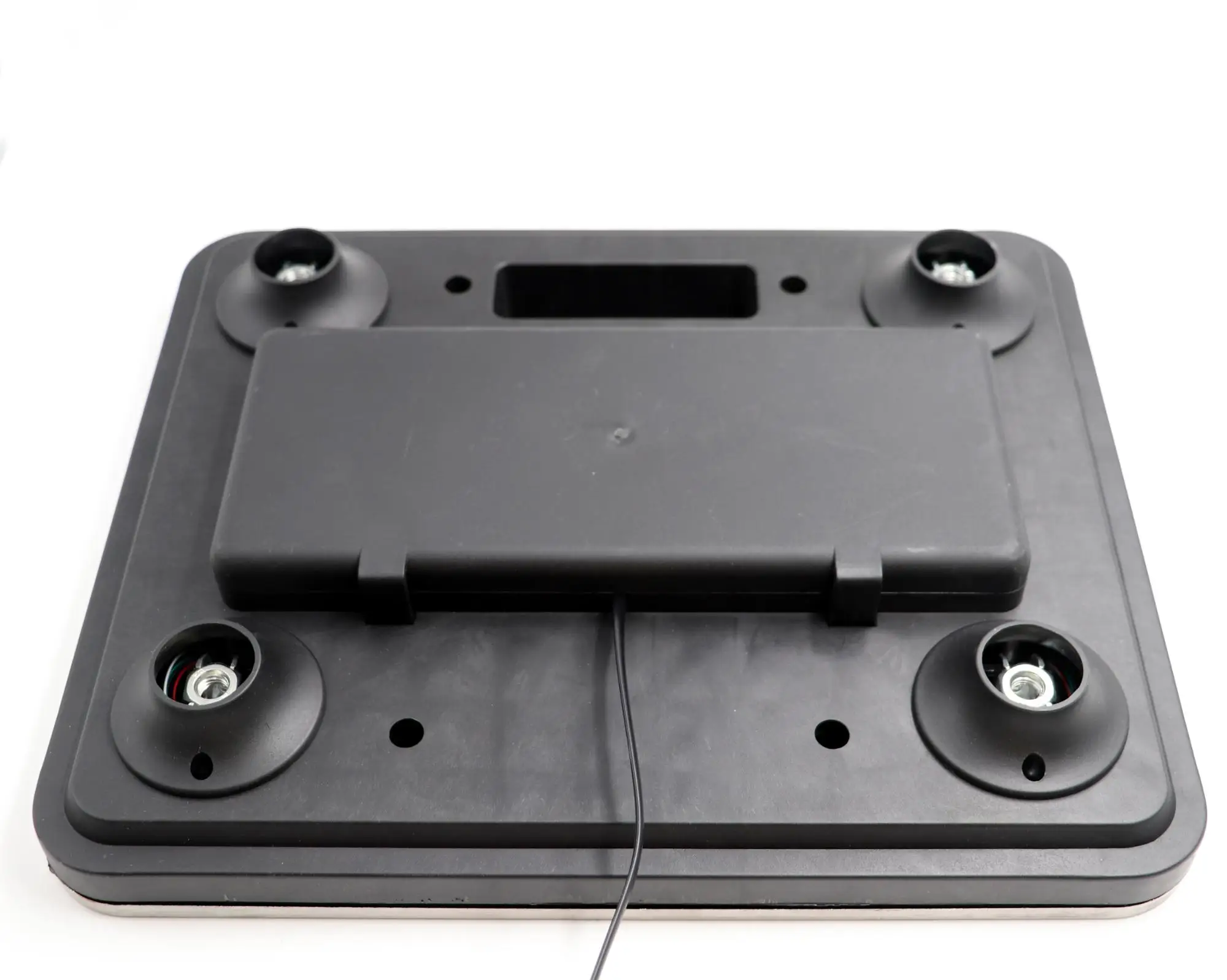 100kg 200kg 3000kg Capacity 100g Division Stainless Steel Electronic Veterinary Scale