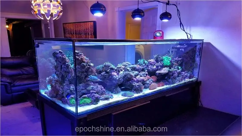 Best selling 80W spectra M031 coral reef aquarium light for 24inch tank
