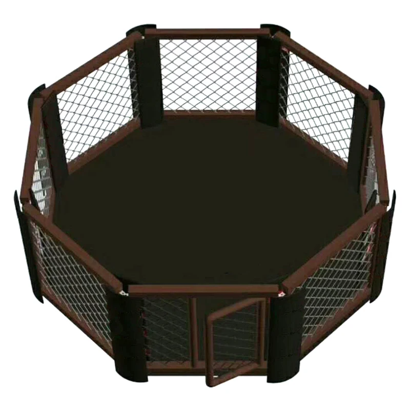 MMA international competition octagonal cage professional boxing ring