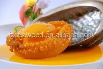 dried Food Grade Quality Abalone FOR SALE