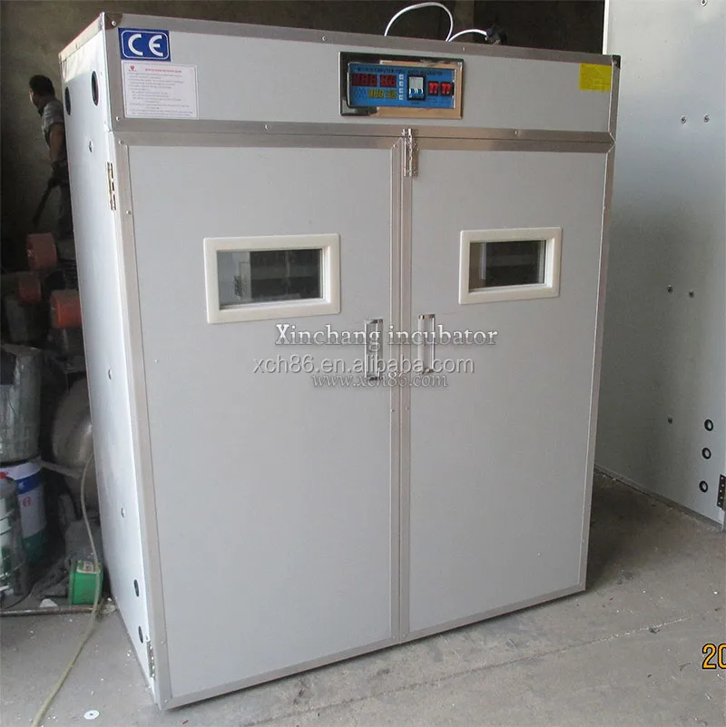 880 штук мини-инкубатор для куриных яиц на европейском рынке продажи Филиппины