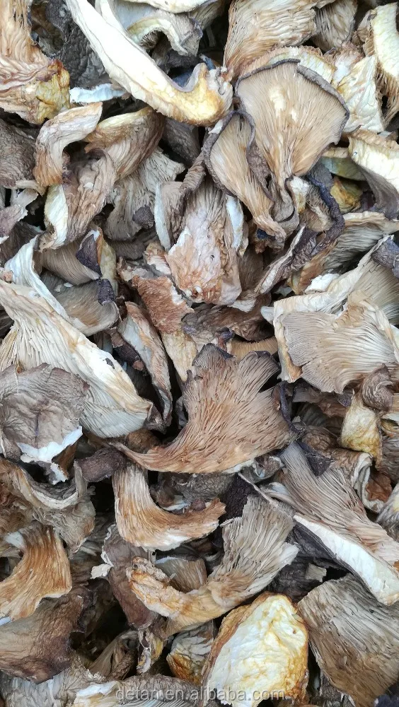 
Detan Dried Oyster/Names of Mushrooms 