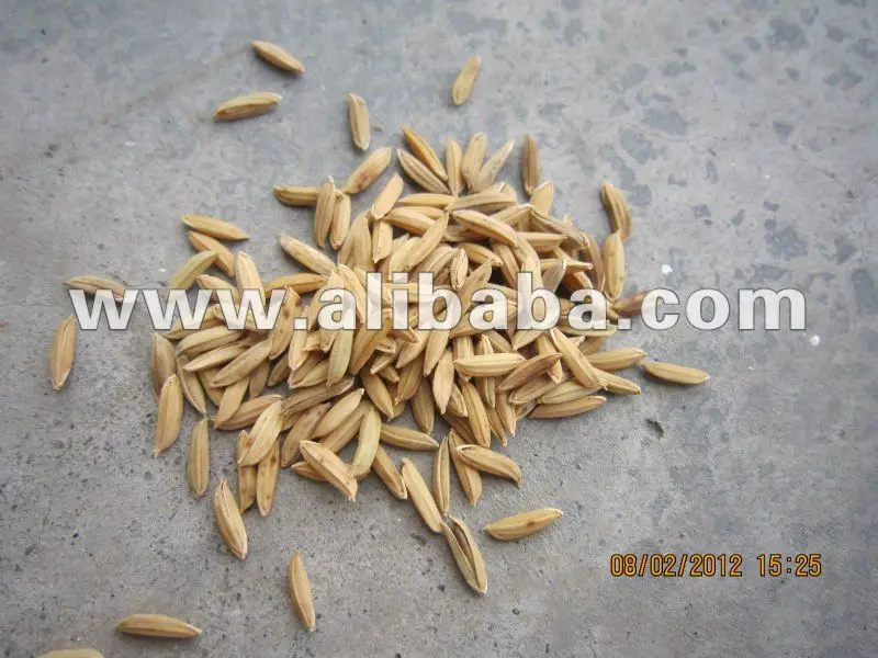 
Sell F1 hybrid rice seed 