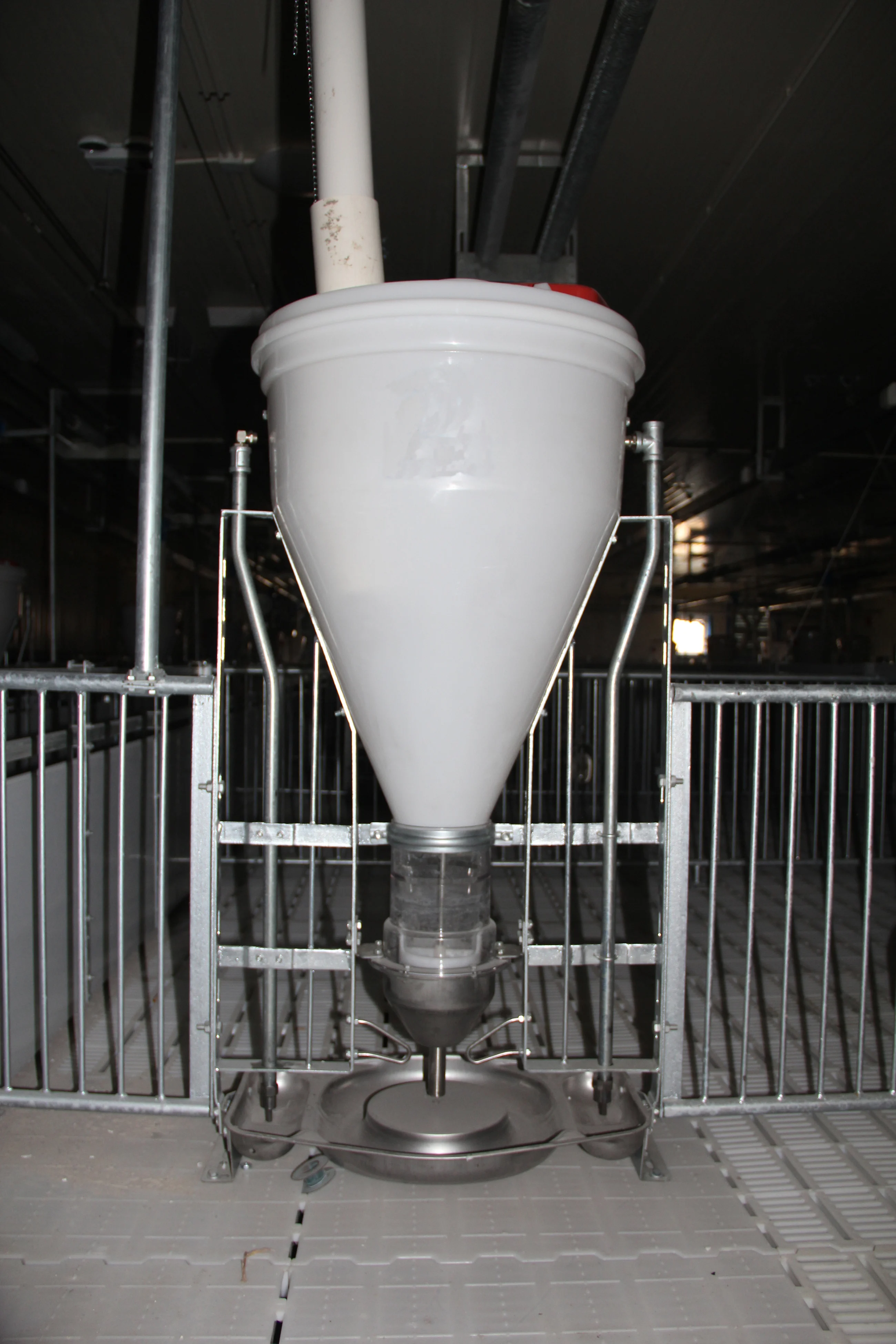 plastic automatic pigs equipment feeding trough for pigs