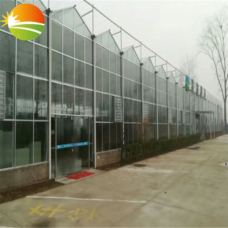 Cheap Tomato Vegetable Greenhouse