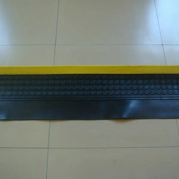
PVC or Pure Rubber Stair Treads 