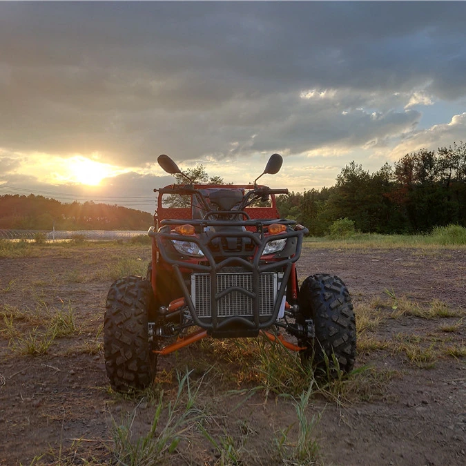 
2016 new design 600cc UTV/ATV 4x4 with EEC UTV EFI 4X2 