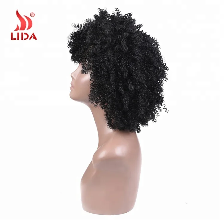 Lida Long Nature Wave Synthetic curls braids Wigs #2/33 Black braiding bouncy curly Hair 6572 wig