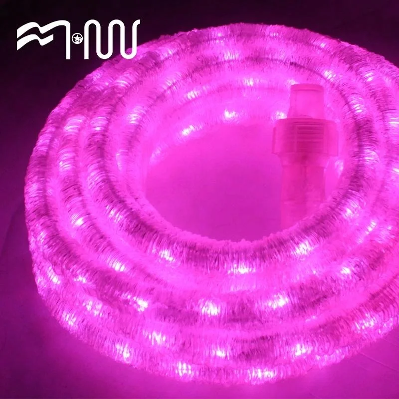 Plastic rgb Christmas rope light for Outdoor Festival Decoration