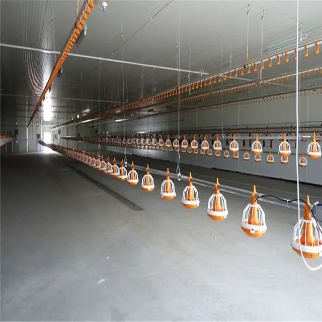 Китайские поставщики, стальная конструкция, проектирование курятника/обрамление птицы с водной линией и пищевой линией