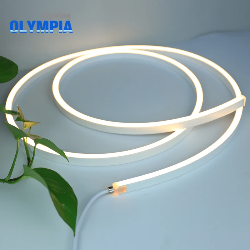 ip68 led neon flex strip pool light 24v 12v underwater led strip light