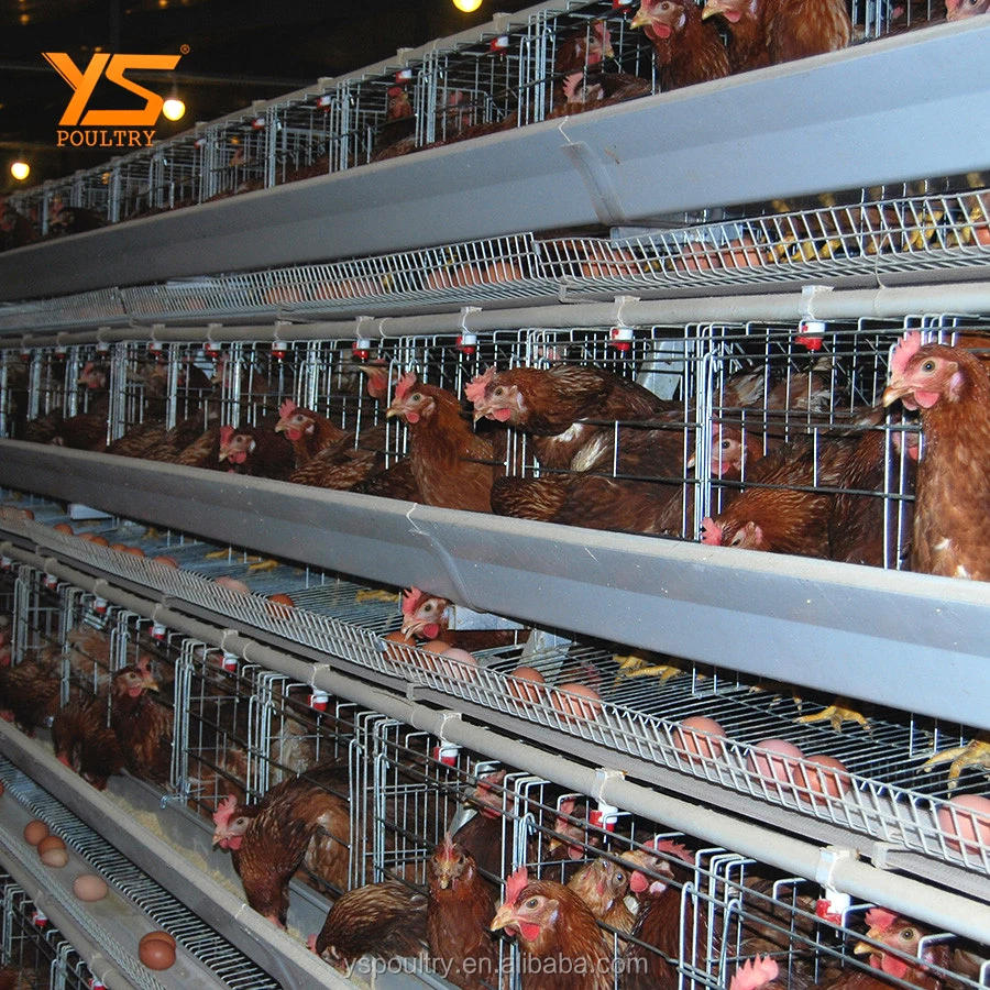 
Chicken Farm Equipment Battery laying hen cage 
