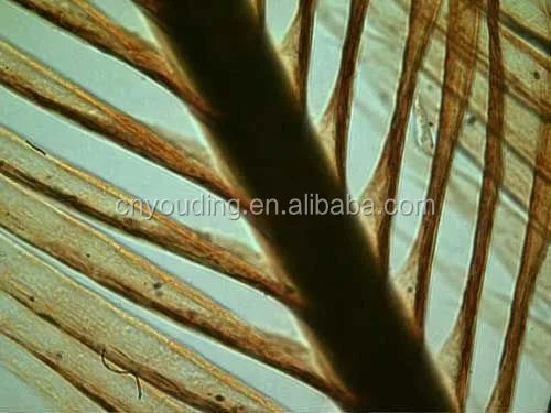 
Digital Camera Eyepiece - HiROCAM 3.0,5.0 &10MP 