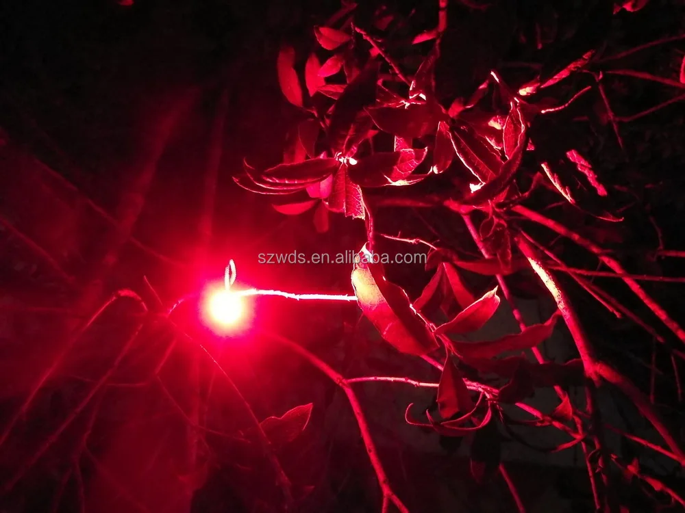 10 Watts Red Rechargeable LED Torch Light Night Deer Hunting Red Flashlight