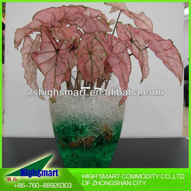 Water magic flower balls (rainbow clay, crystal soil)