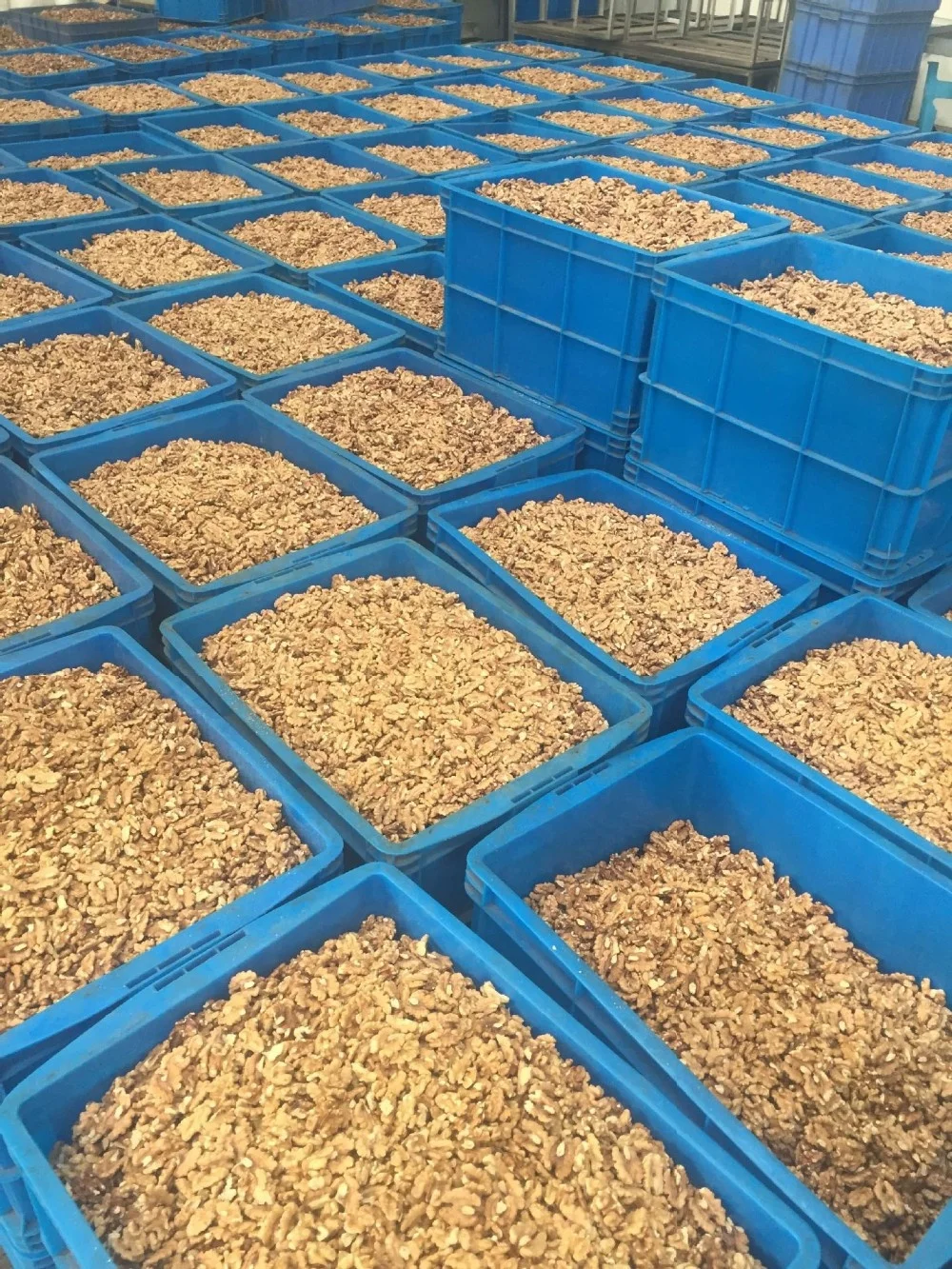 Chinese Xinjiang Light Halves Walnut Kernels with best price and good quality
