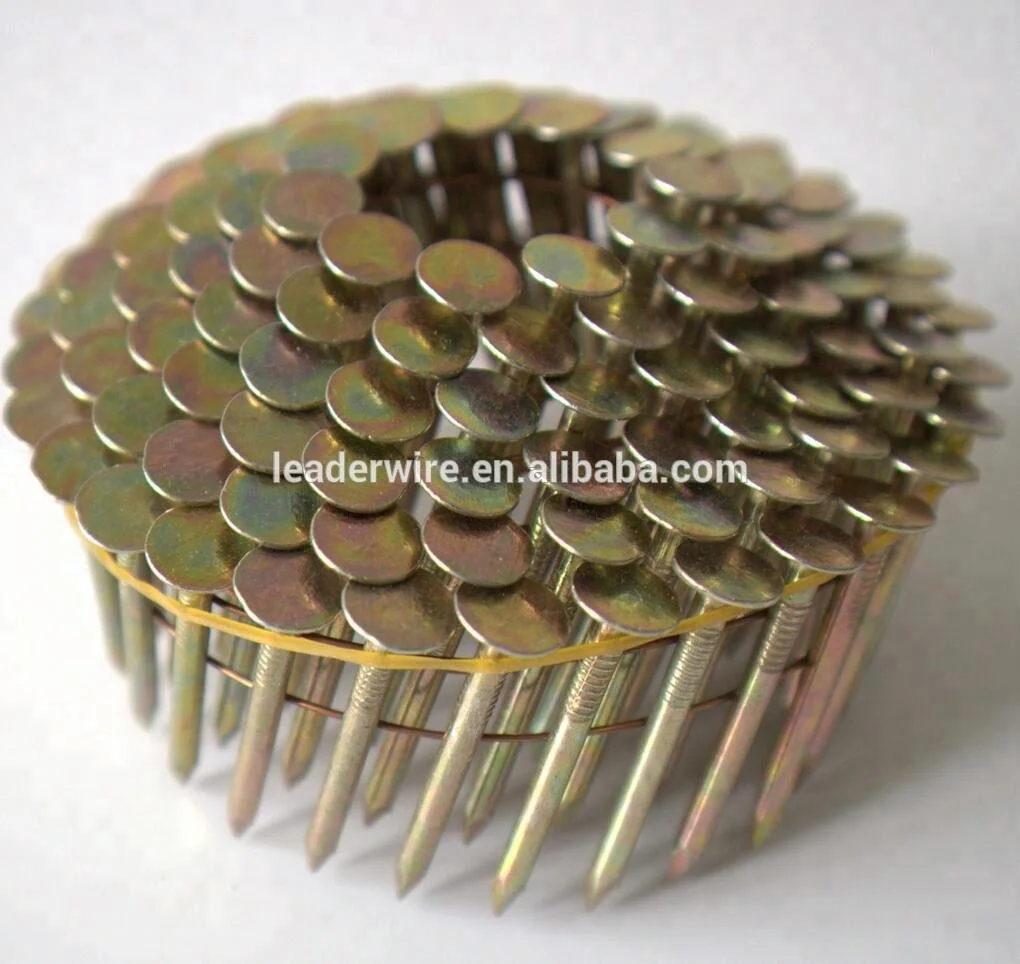 Stainless Steel Roofing Coil Nails for Pneumatic Nail Gun
