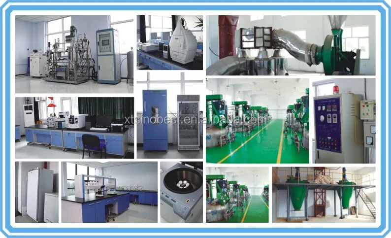 
Feed Additive Phytase 