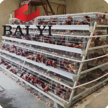 Factory Direct Price Battery Cages Laying Hens Sell in Algeria