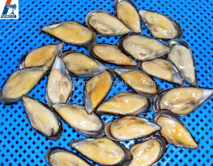  Морепродукты замороженная свежая мишура мясо mytilus edulis для хорошей