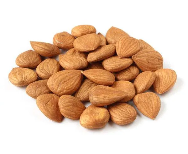 organic apricot seeds benefit apricot kernels in shell for sale