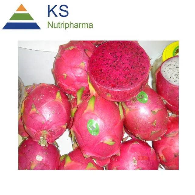 
Fresh Red Dragon Fruit Extract Powder Pitaya Fruit Freeze Dried Powder 