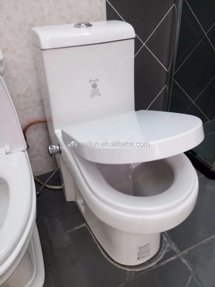 
Iraq Standard Washdown Muslim Bidet WC 