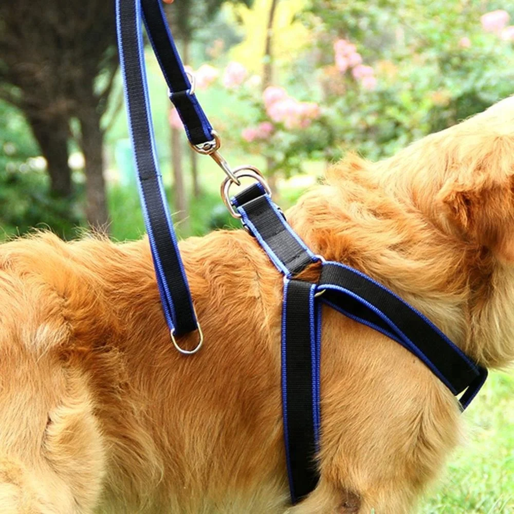 3 PCS Pet Collar Harness & Leashes Nylon Dog Leads Large Dog High Quality Dog Leashes