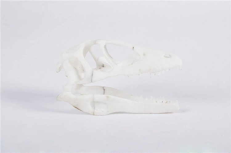 Hot sale 3d metal printer for sale with single extruder , 3d printer machine