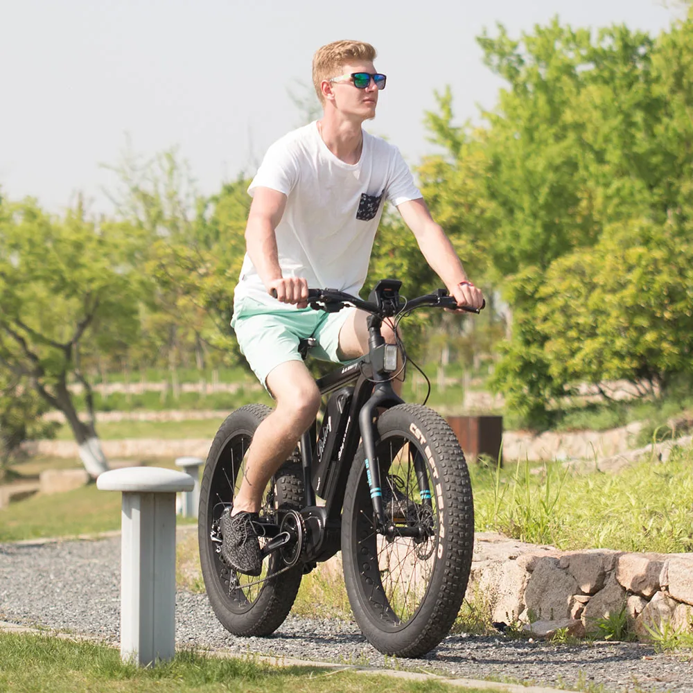 Fastest 10 speed ebike fat tire mid drive electric bike bicycle