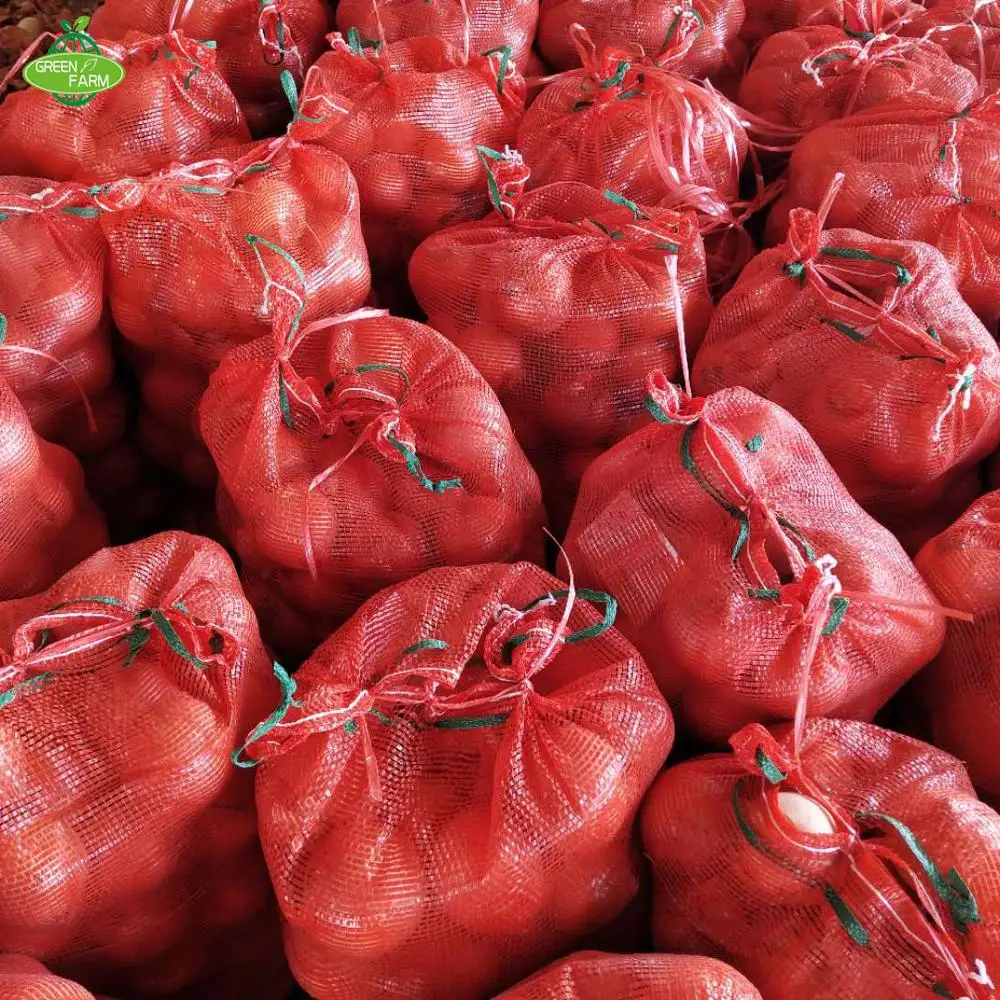 yellow onion packing in 25kg mesh bag  Sent to the Netherlands