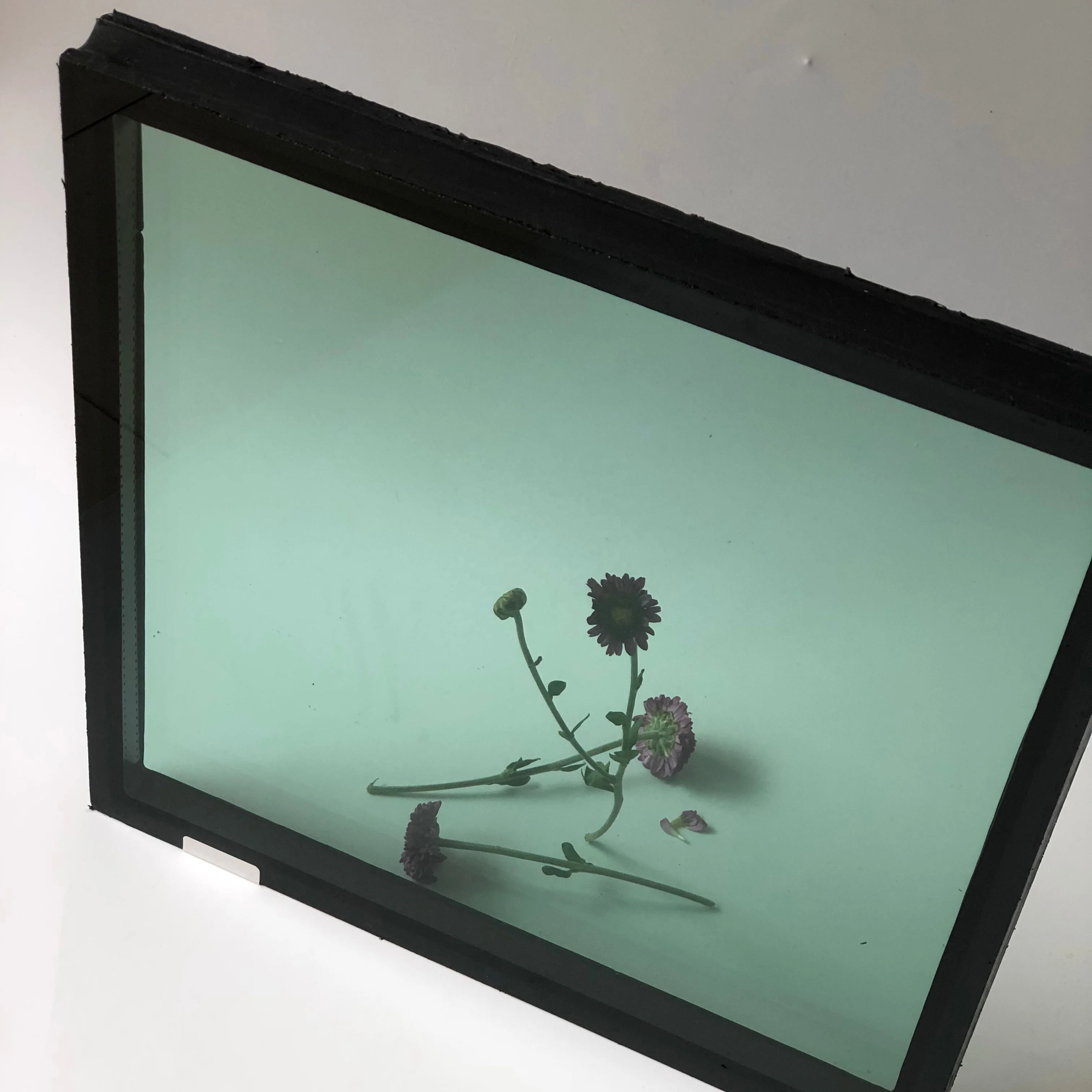 hollow glass 5mm 9a 5mm low-e tempered insulated glass price for building windows made in China