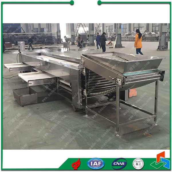 China Dates Jujube Grading and Sorting Machine Sorter Grader