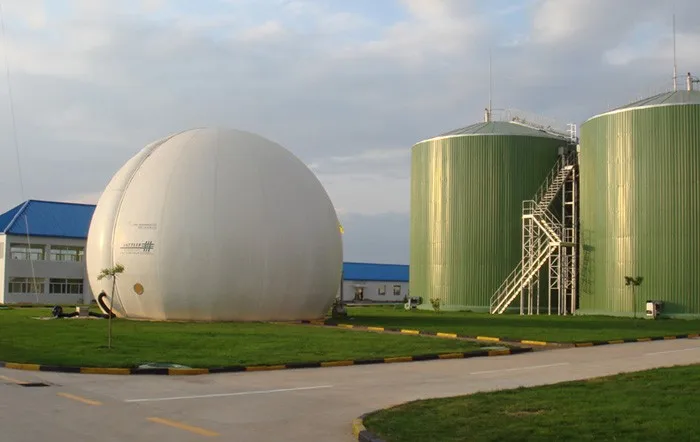  Обработка куриного навоза с помощью технологии AD Биогазовая