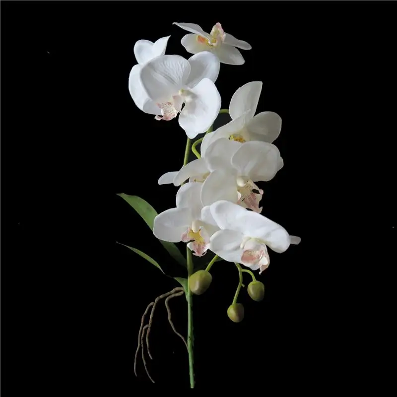 52cm Simulation White Phalaenopsis Orchid with Pot and Leaves