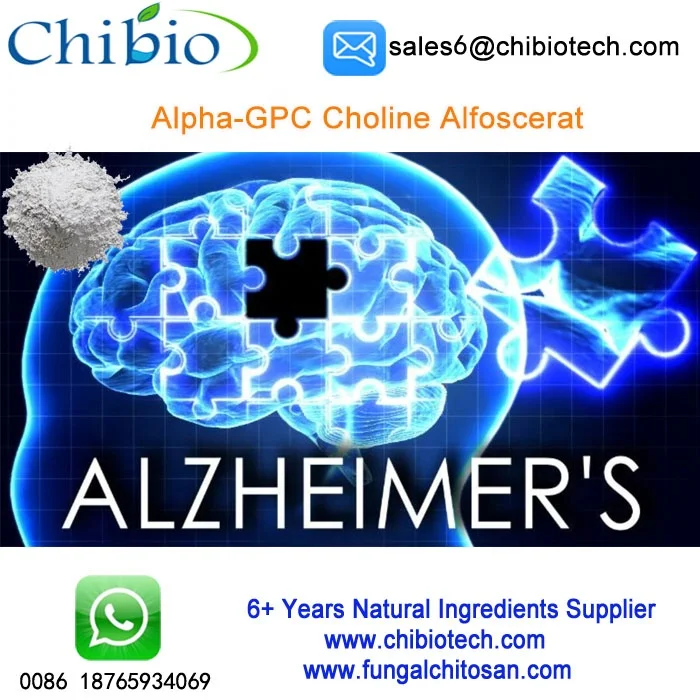 
C8H20NO6P Alpha-GPC powder Choline Alfoscerate for alzheimer 