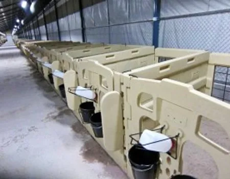 Polyethylene calf hutch with fencing