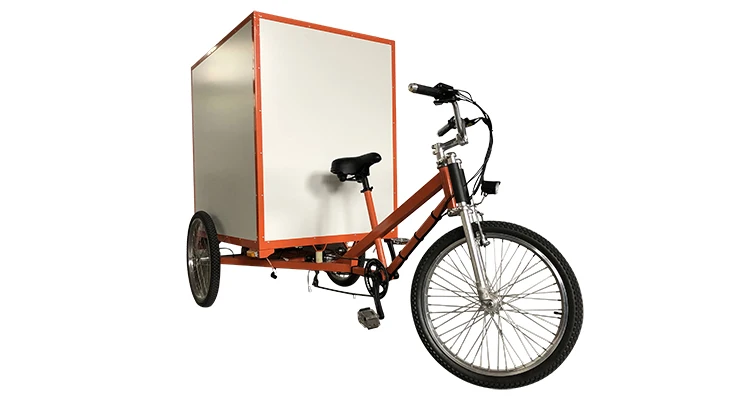 Wholesale Heavy Load 300kgs 3 Wheel Cargo Tricycles High Quality Delivery Cargo Tricycle Fast Delivery Electric Cargo Vehicle