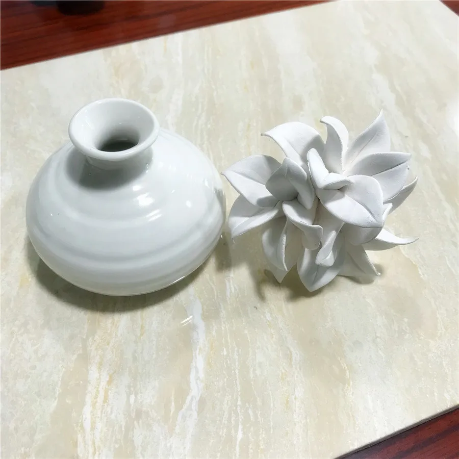 
Ceramic Aroma Stone Ceramic Flower Bottle Reed Diffuser Home Decor 