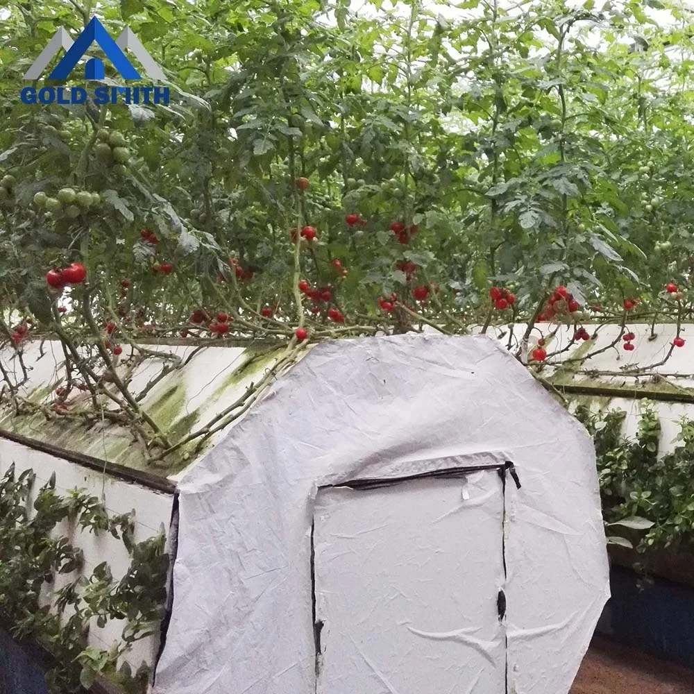 Gold Smith Intelligent Plastic Film Greenhouse Steel Structure for Vegetable Planting