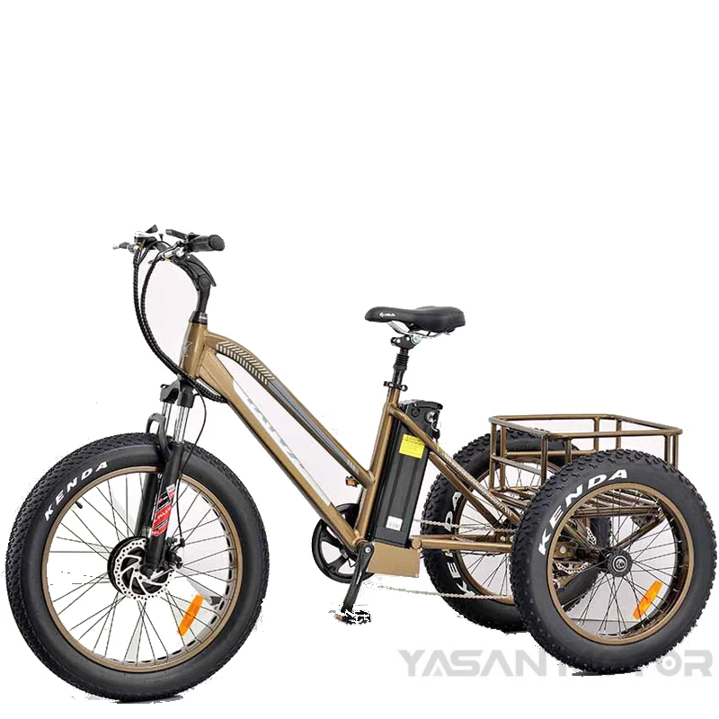 250W XOFO Motor Front Drive 3 Big Wheel Electric Bike